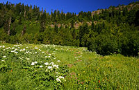 Echo Basin Thumbnail